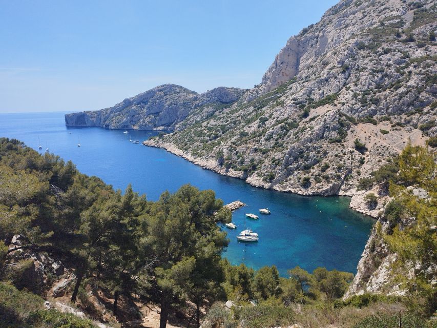 Marseille : Randonnée guidée dans le parc national des Calanques à partir de Luminy