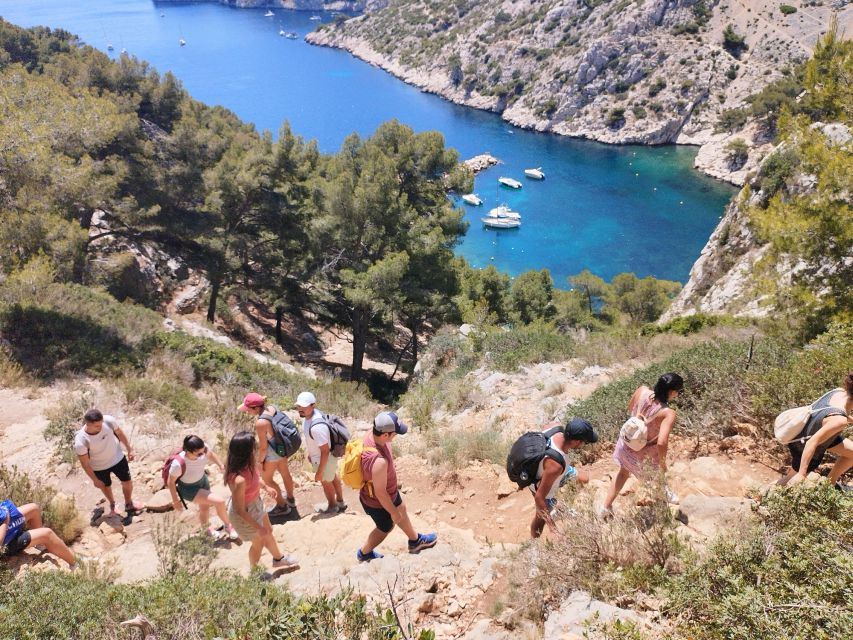 Marseille : Randonnée guidée dans le parc national des Calanques à partir de Luminy