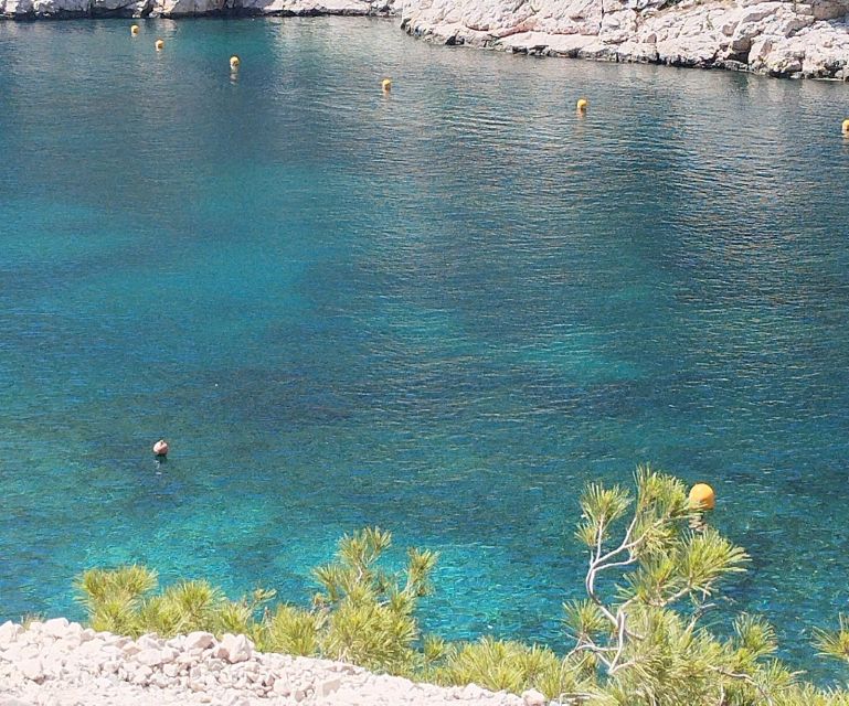 Marseille : Randonnée guidée dans le parc national des Calanques à partir de Luminy